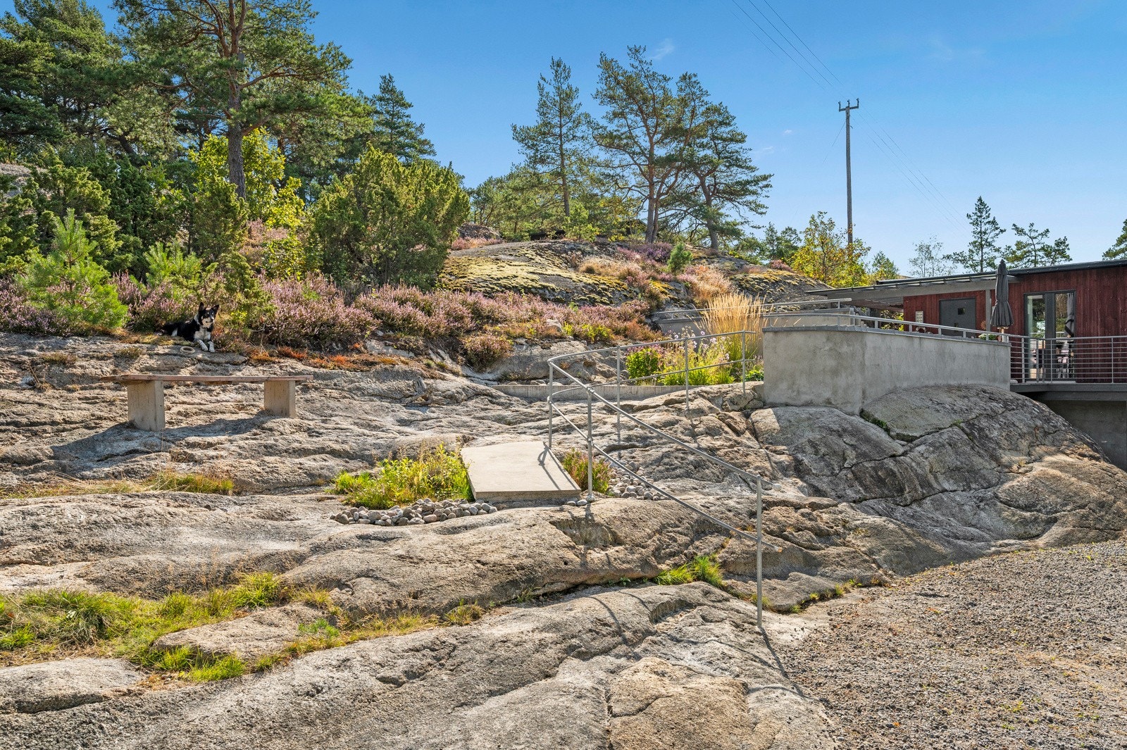 Fra eiendommen er det flotte turområder og en fin vei ned til sjøen Galleribilde