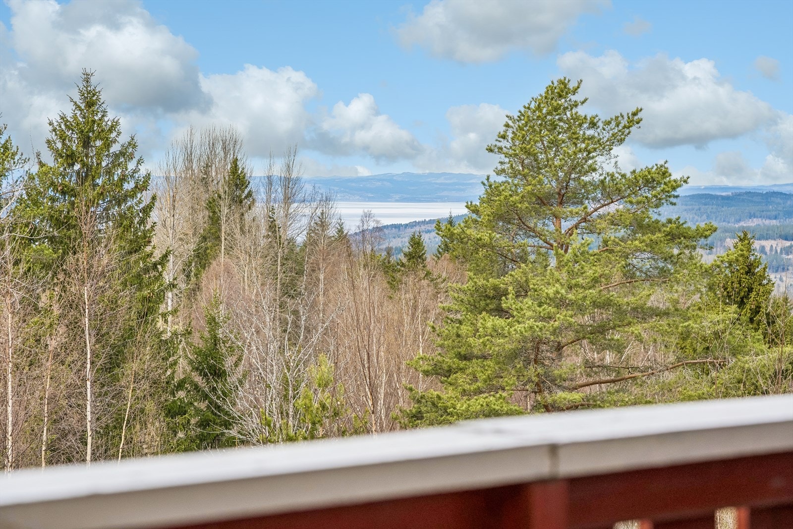 Fra eiendommen har man utsikt mot Mjøsa og de dype skogene som omkranser området. Galleribilde