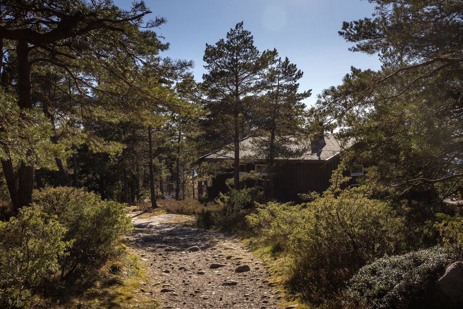 Turstiene på Asmaløy leder deg fra perle til perle - du går aldri lei av å vandre eller sykle rundt på øya. Galleribilde