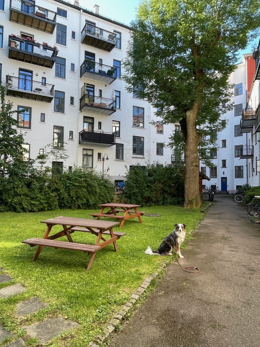 Deler av bakgården har plen og bord og benker. Galleribilde