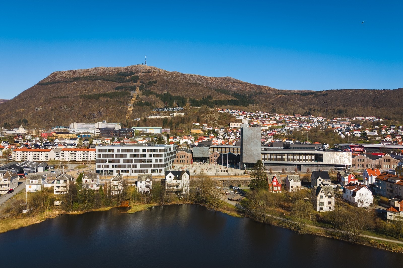 Solheimsvannet Galleribilde