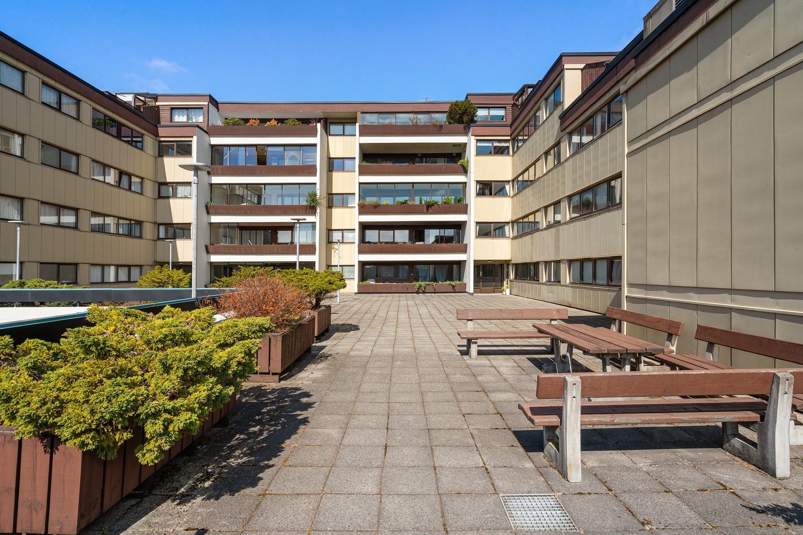 Ryddig og fint beplantet fellesområde som skaper en trivelig atmosfære, og asfalterte internveger og parkeringsarealer. Galleribilde