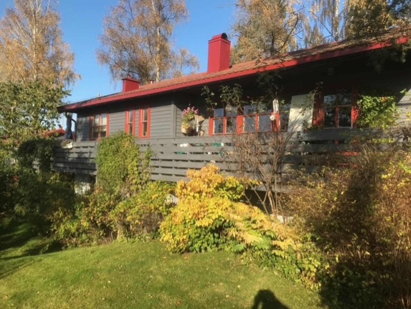 Tomten er pent opparbeidet med prydbusker, gressplen, blomster. Galleribilde