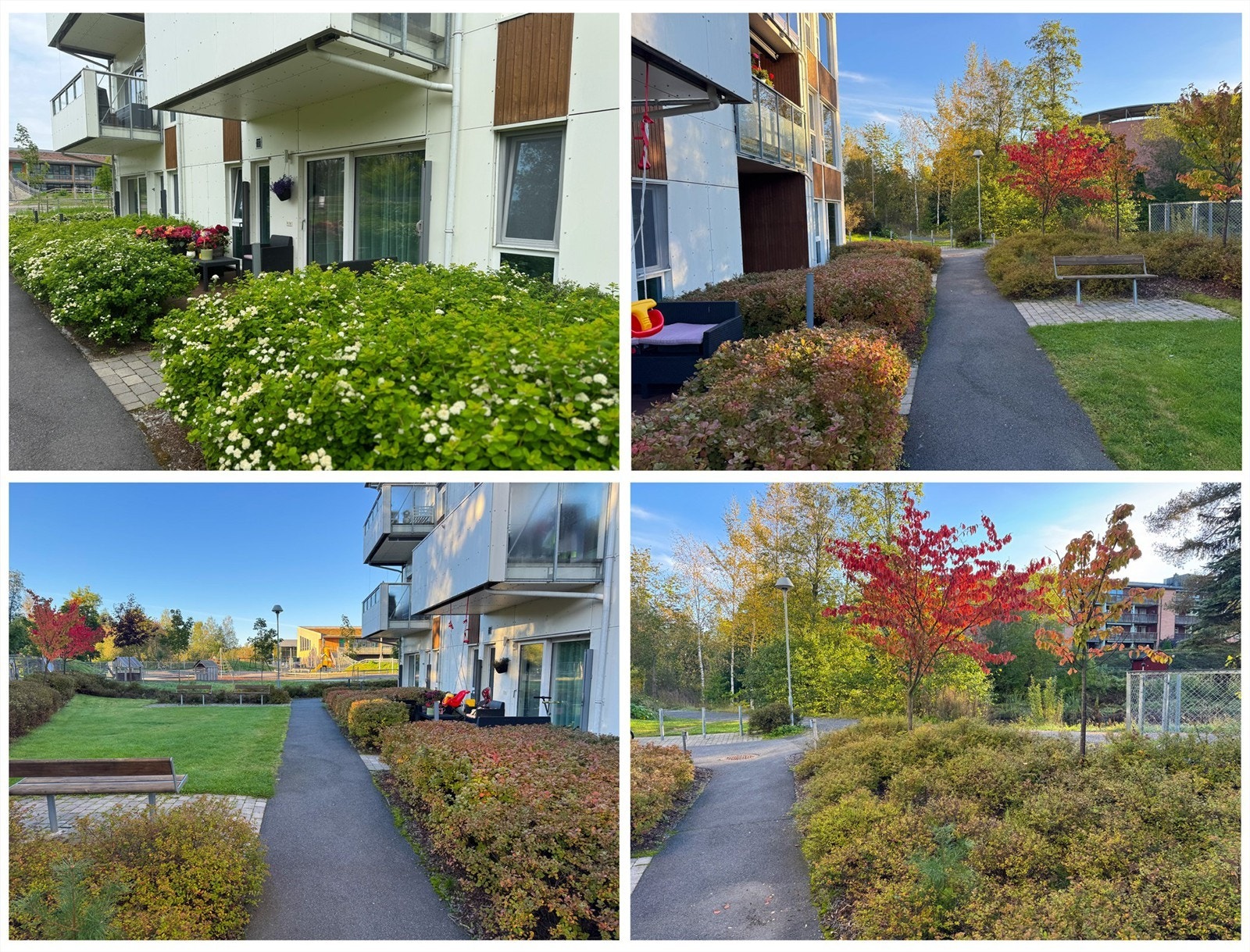 En samling av utemiljøet som viser leilighetens private markterrasse og de omkringliggende fellesarealene. Galleribilde