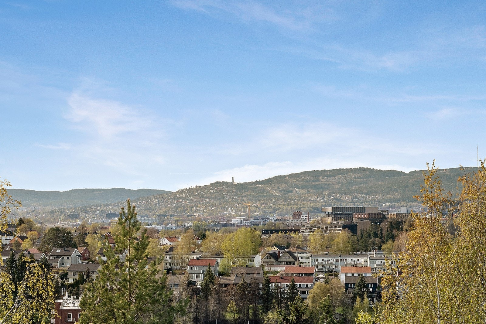 Utsikt Galleribilde