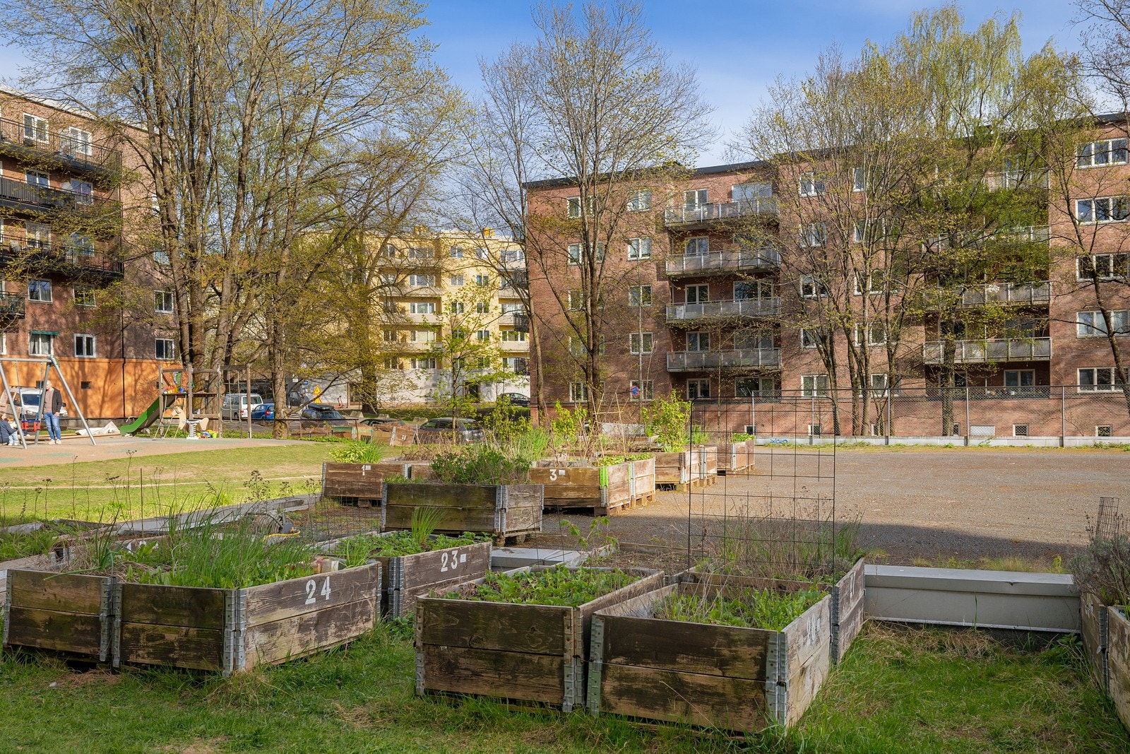 Borettslaget har satt opp en egen parsellhage for beboerne som har blitt veldig populært blant de som bor her! Galleribilde