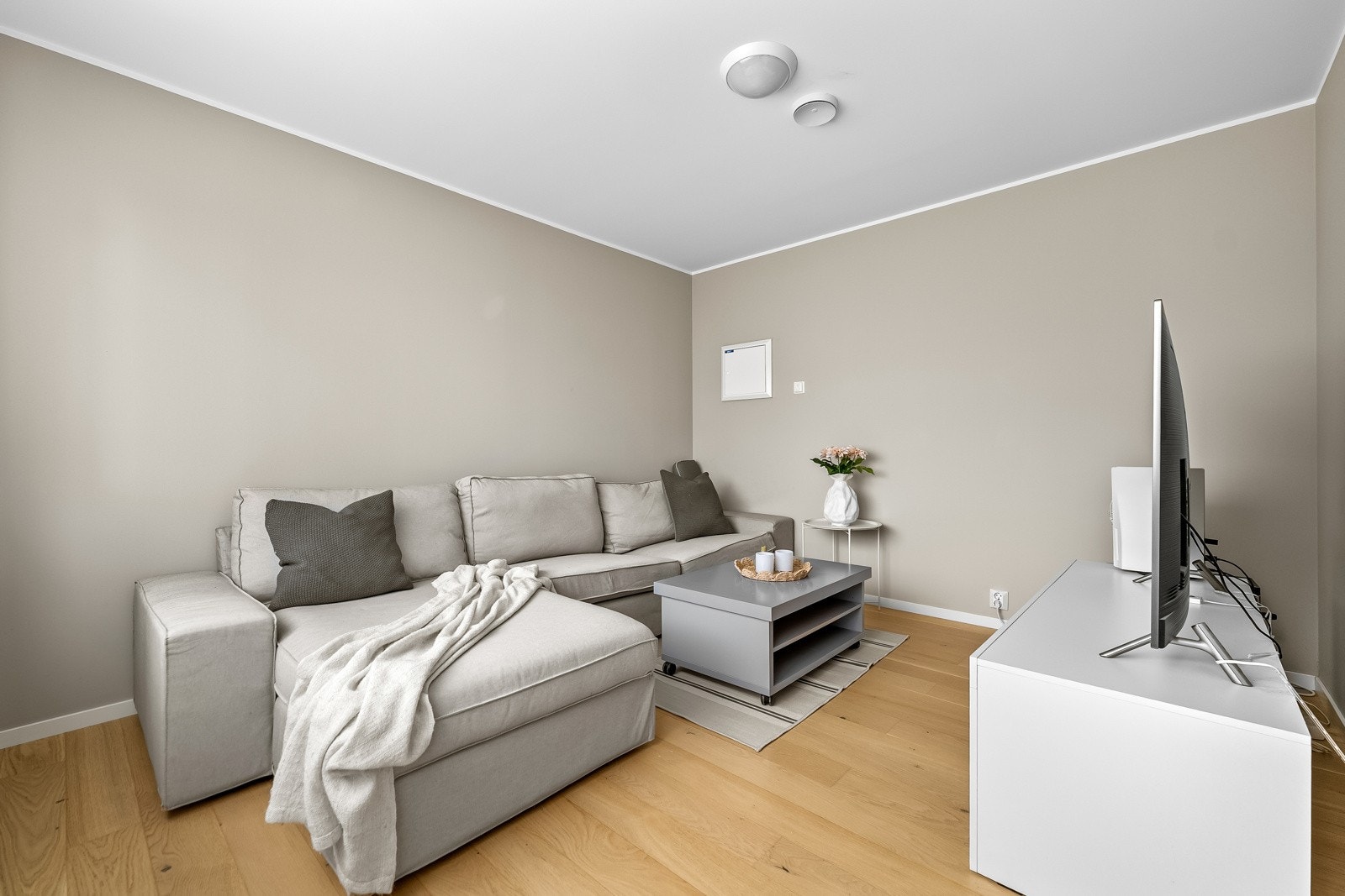 Hybel med egen stue og god plass til sofa- og TV-løsning. Galleribilde