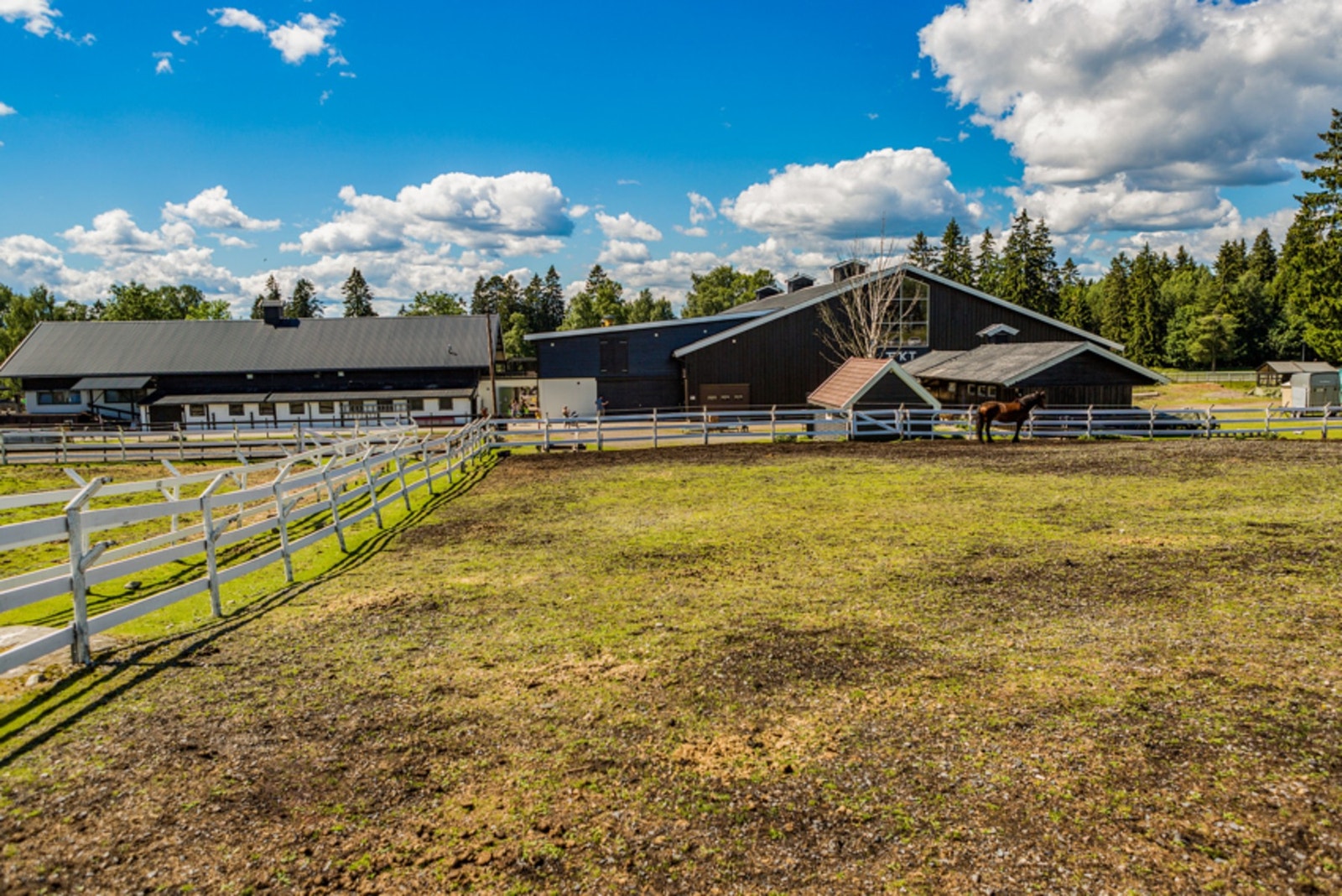 Rideskole ved Ekebergsletta. Galleribilde