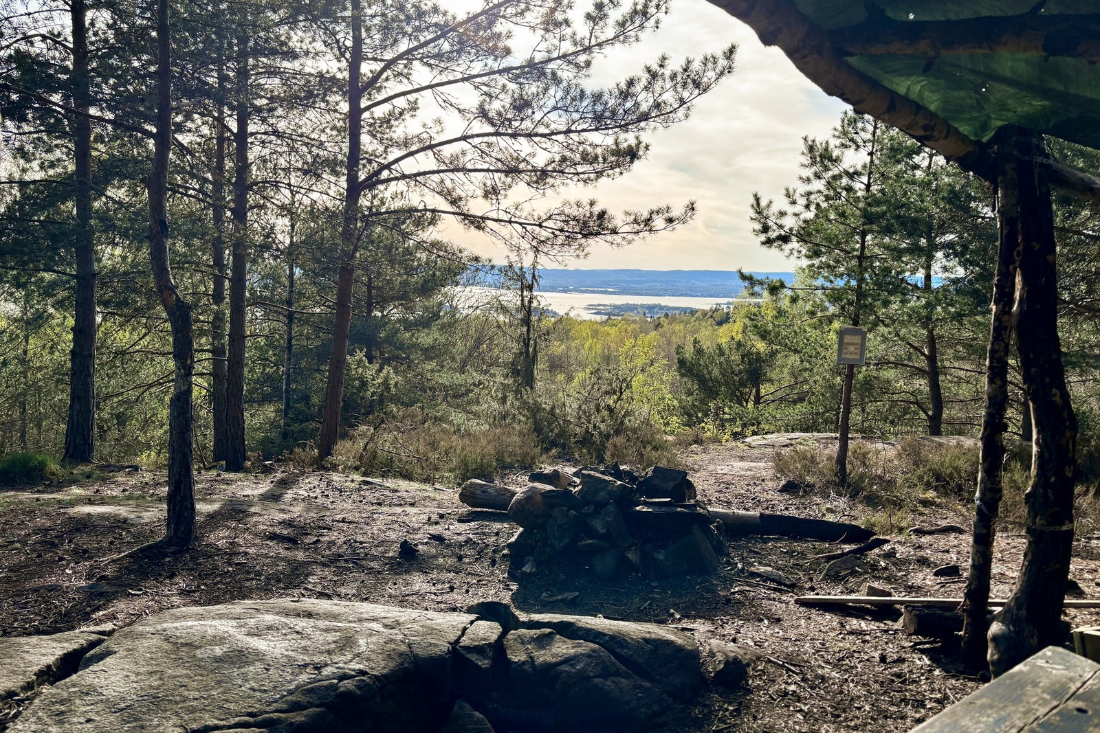 Umiddelbar nærhet til Brannfjellskogen (selgers private bilde). Galleribilde