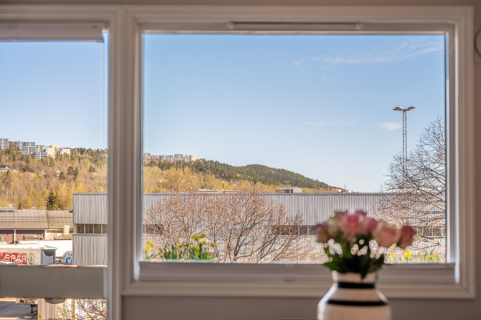 Dyrehold er tillatt så fremt det ikke er til sjenanse eller ulempe for øvrige beboere Galleribilde
