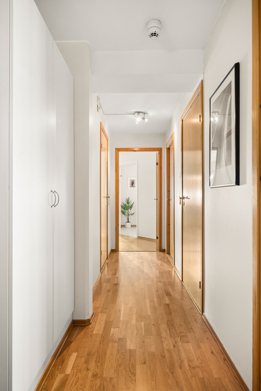 Gangen har en sentral plassering i leiligheten som sikrer god flyt mellom alle rom. Galleribilde