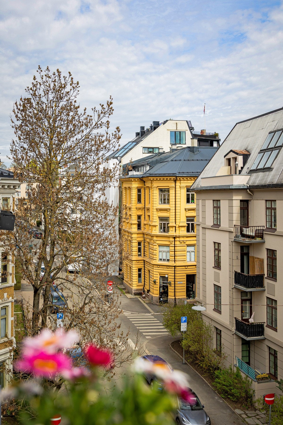 Hyggelig utsyn Galleribilde