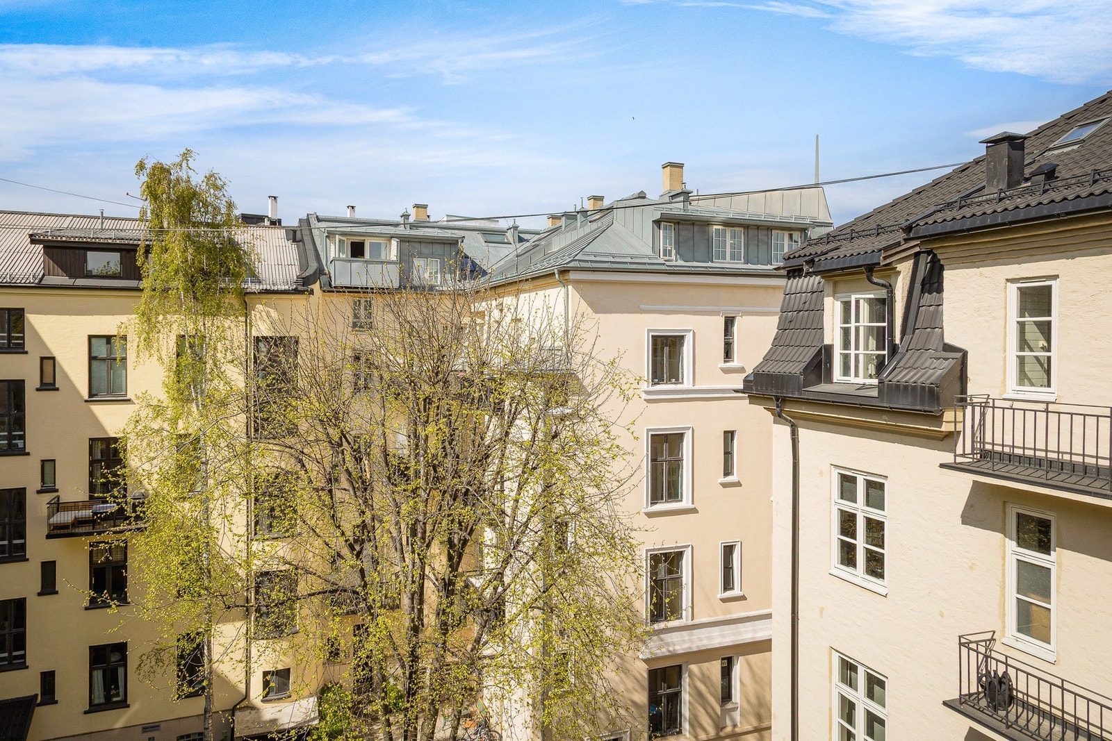 Hyggelig og grønt utsyn fra kjøkken Galleribilde