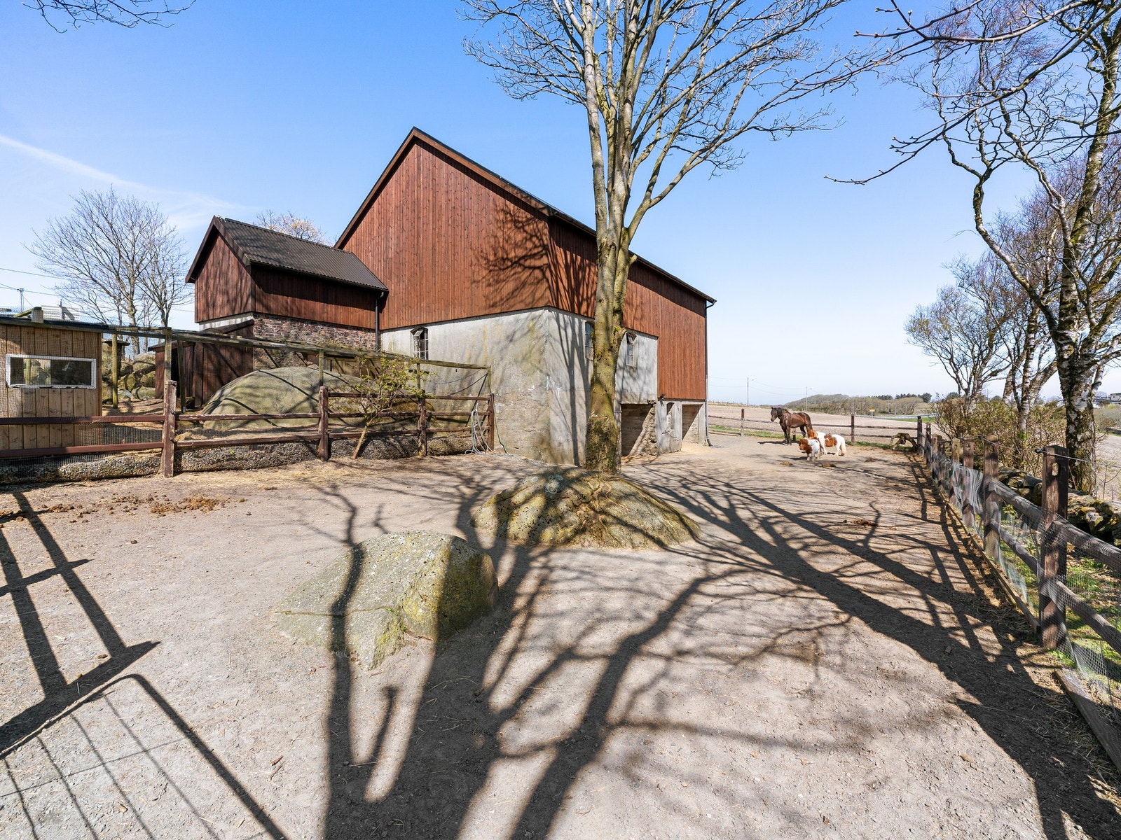 God plass ute til å drive med dyrehold. Galleribilde