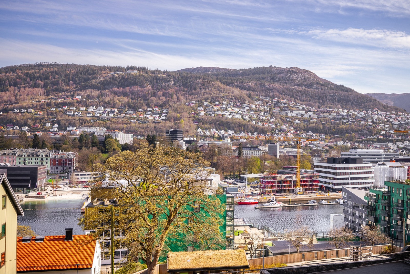 - Nydelig utsikt - Galleribilde