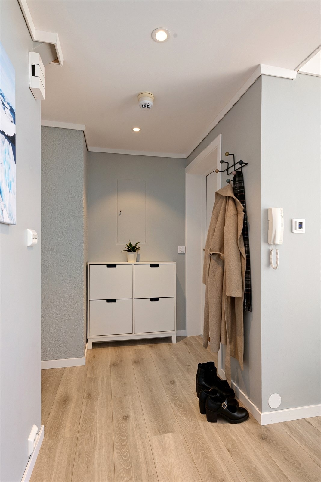 Sikringsskapet er plassert i entréen. Galleribilde