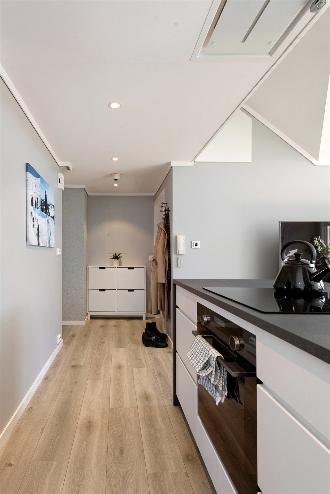 Entréen leder inn i leiligheten. En praktisk hems gir gode oppbevaringsmuligheter. Galleribilde
