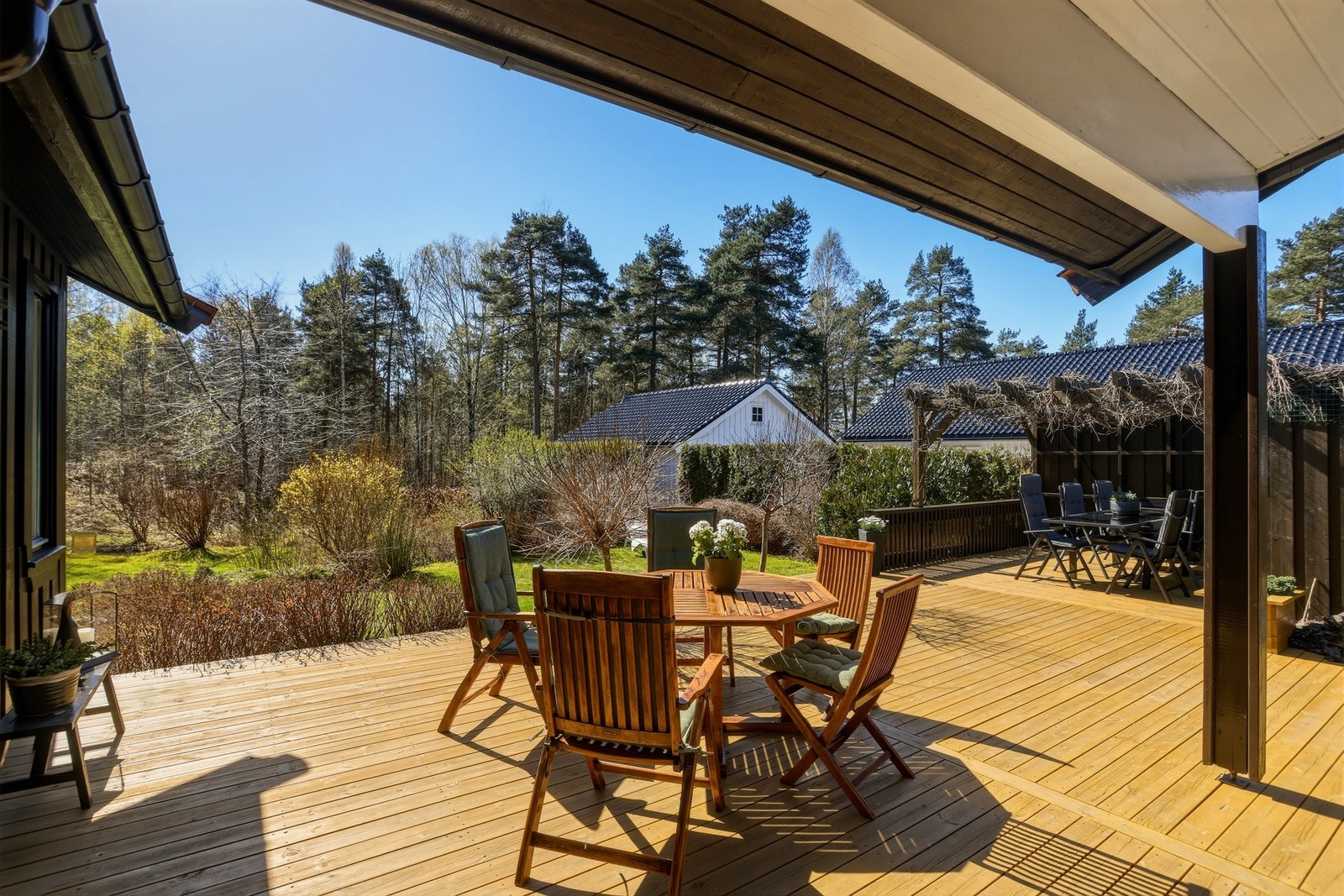Stor terrasse med utsikt mot skogsområde Galleribilde