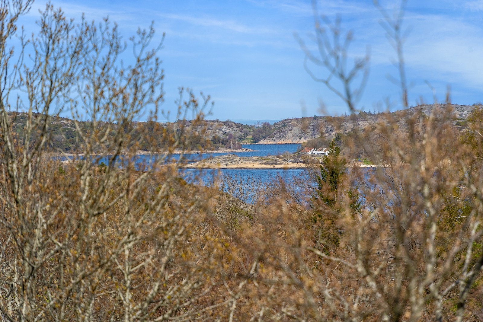 Flott utsyn Galleribilde