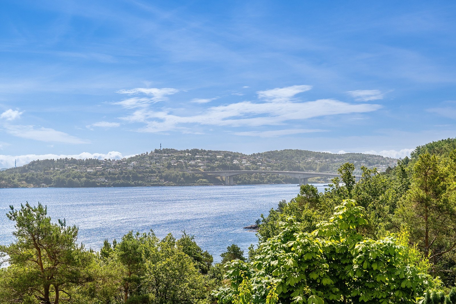 Varoddbroa. Galleribilde