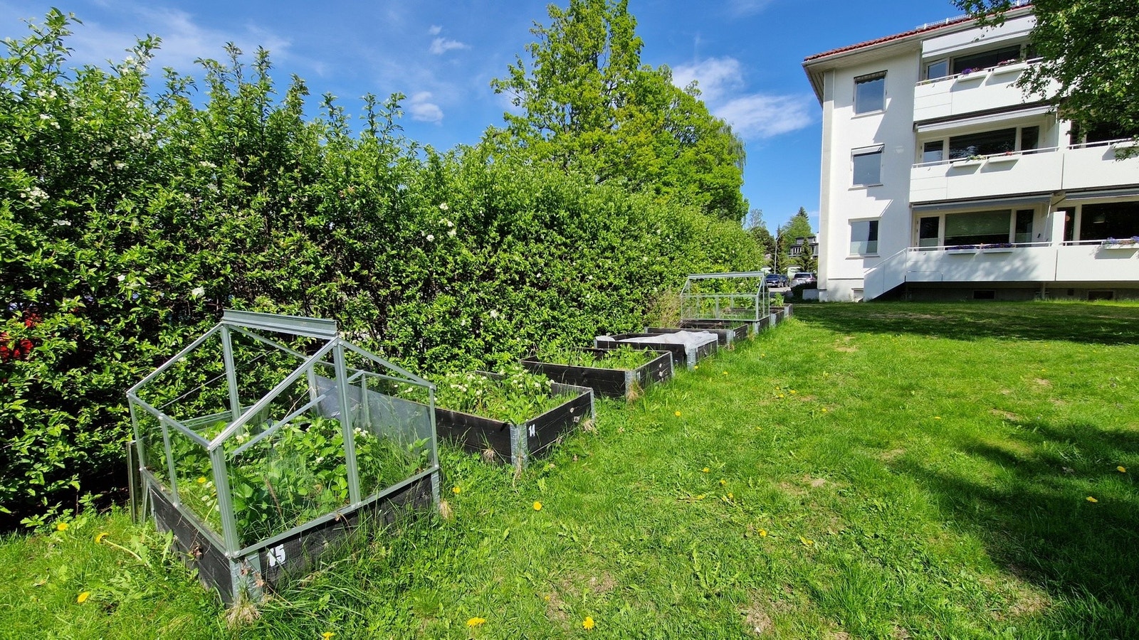 Dyrkekasser som kan benyttes av beboerne. Galleribilde