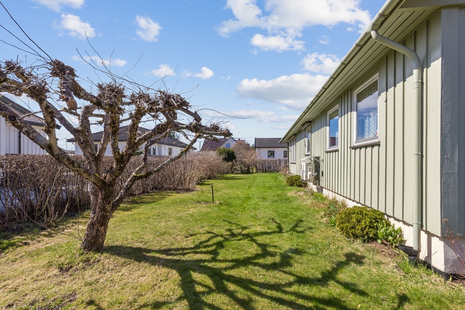 En barnevennlig hage i et nabolag med lite gjennomgangstrafikk. Galleribilde