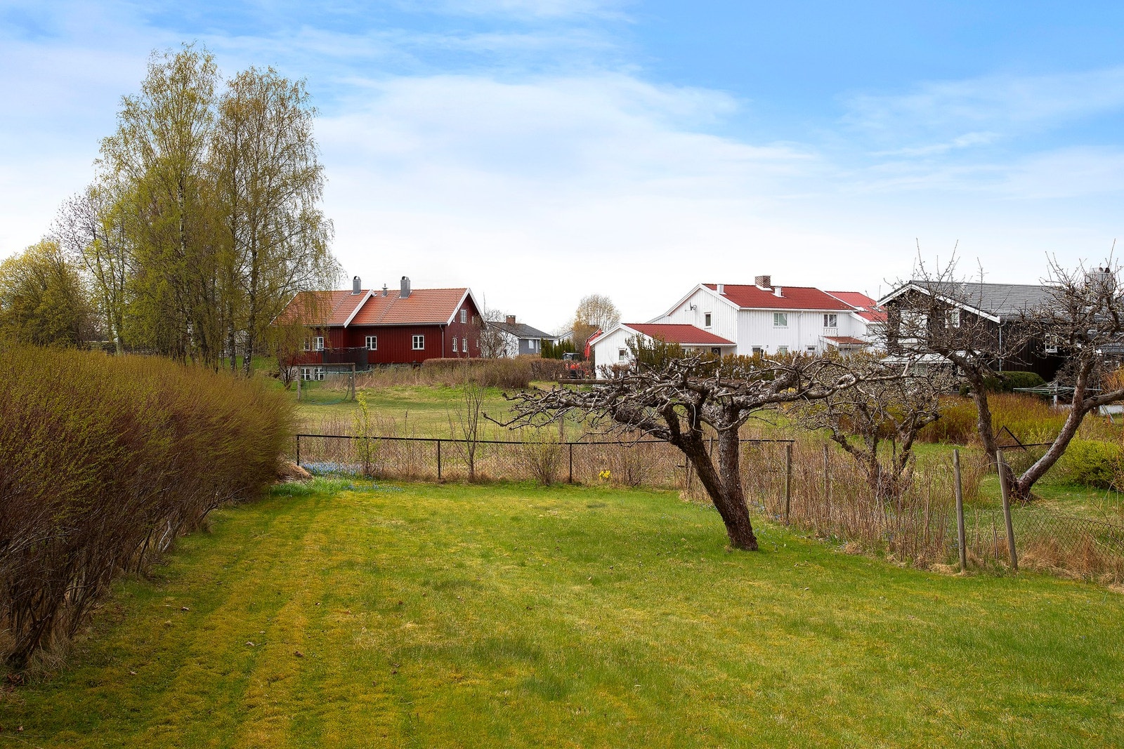 Flat hage som er opparbeidet med plen, hekk og fruktrær. Galleribilde