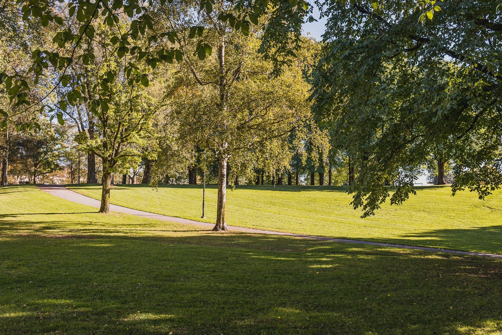 I nærområdet finnes flere grønne pusterom, med vakre og naturskjønne Torshovparken kun en kort spasertur fra leiligheten. Galleribilde