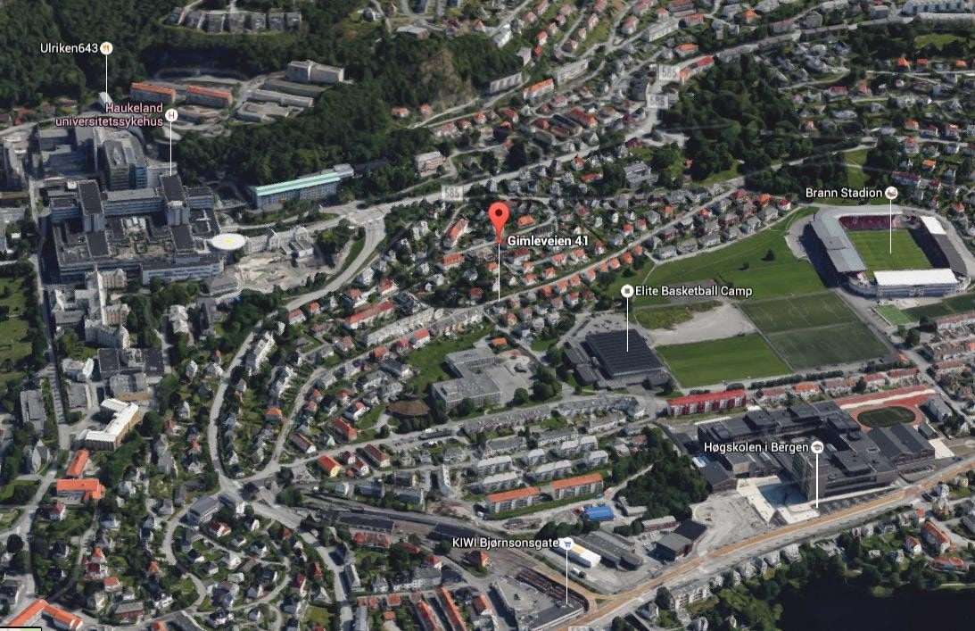 Galleribilde