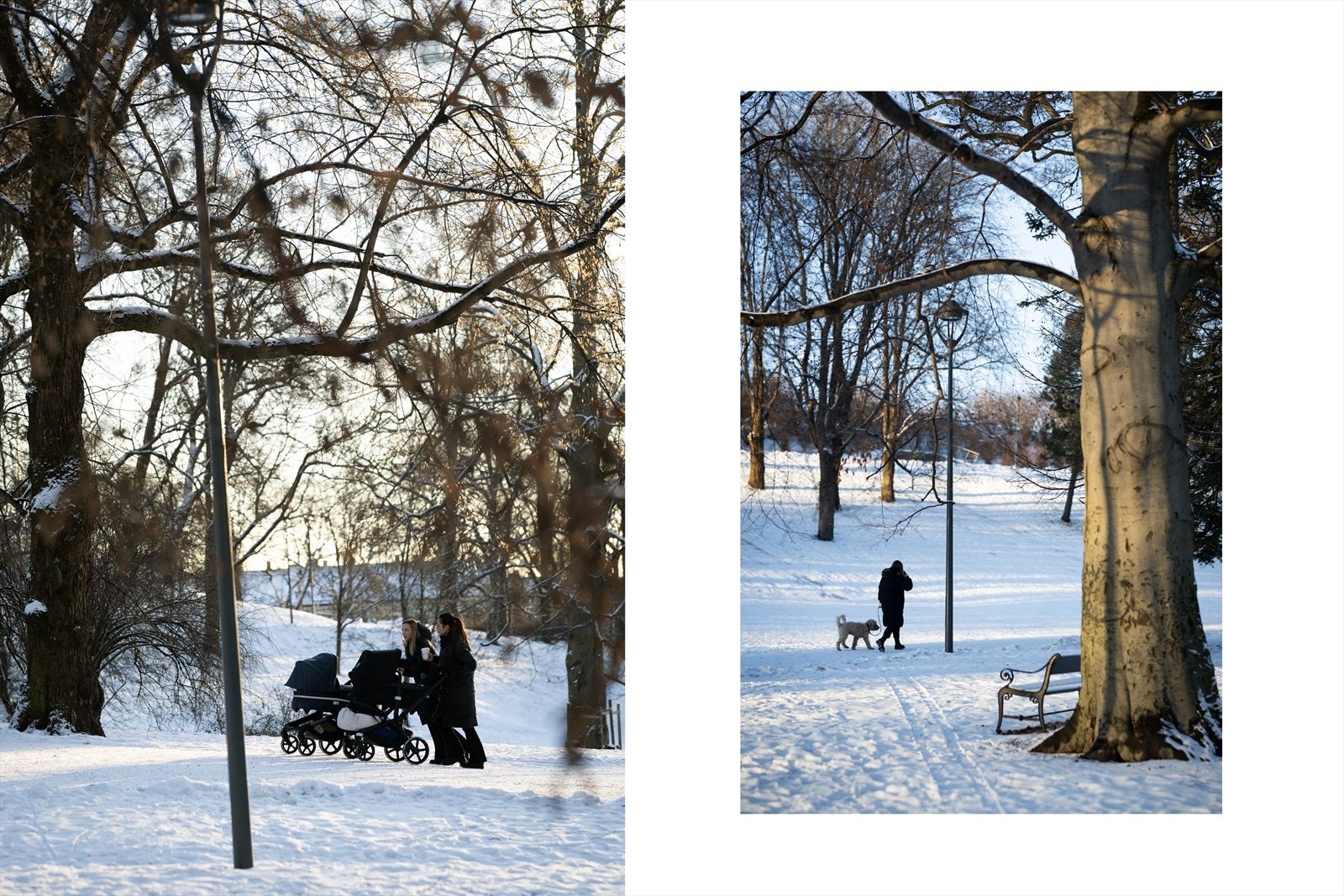 Fine turområder med Pilestredet park og Slottsparken like ved. Galleribilde