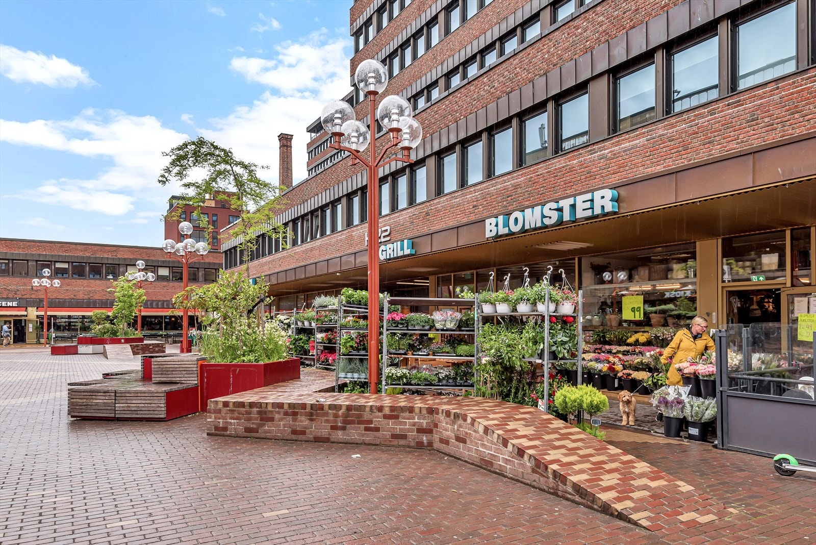 Like ved leiligheten finner du Tøyen torg med blomsterbutikk, apotek, spisesteder og mer Galleribilde