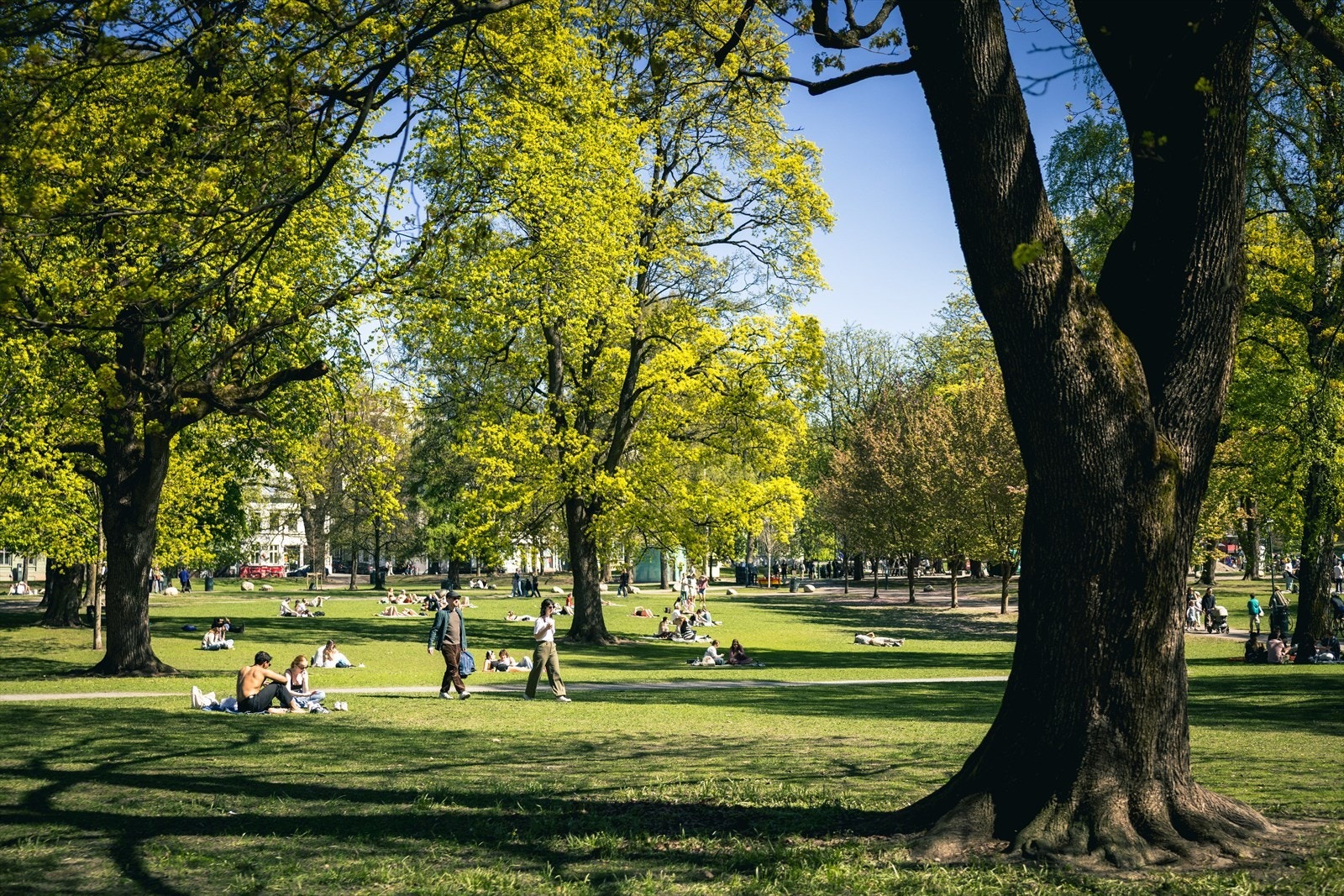 Har du lyst til å dra på festival i sommer? Beboere i Toftes gate 47A får faktisk billetter til Piknik i Parken festivalen! Galleribilde