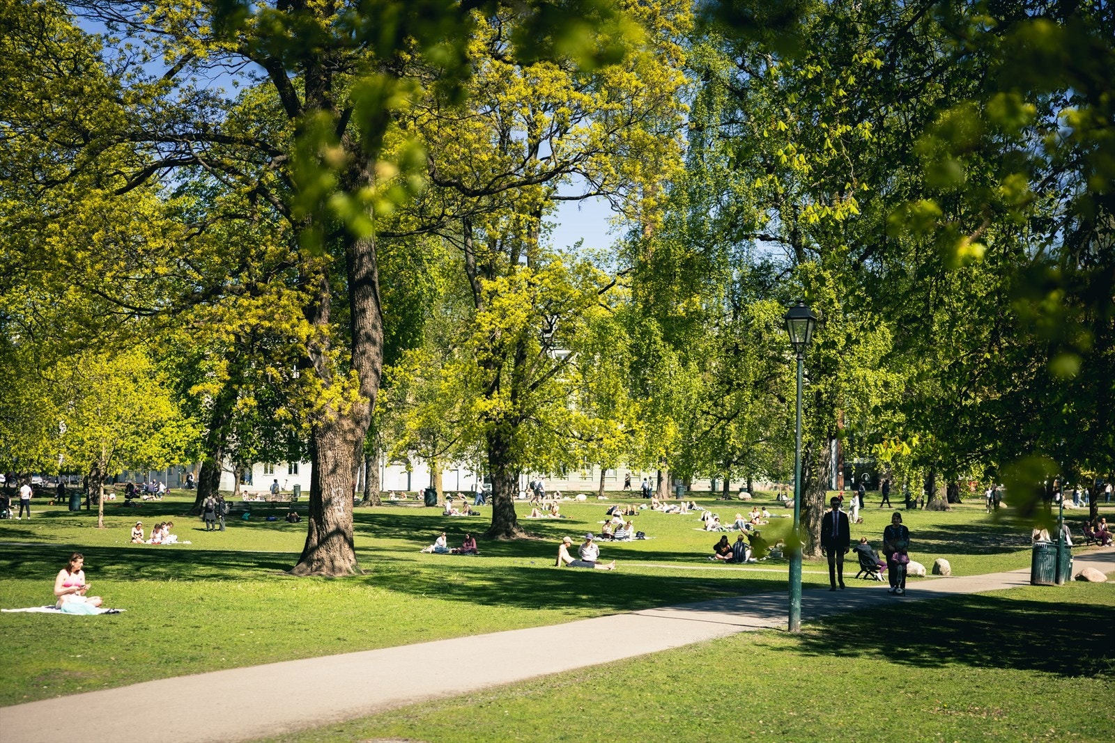 Leiligheten ligger rett ved Sofienbergparken. Galleribilde