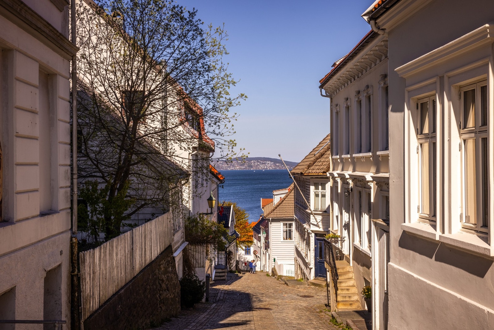 Kort vei til Skuteviken Galleribilde