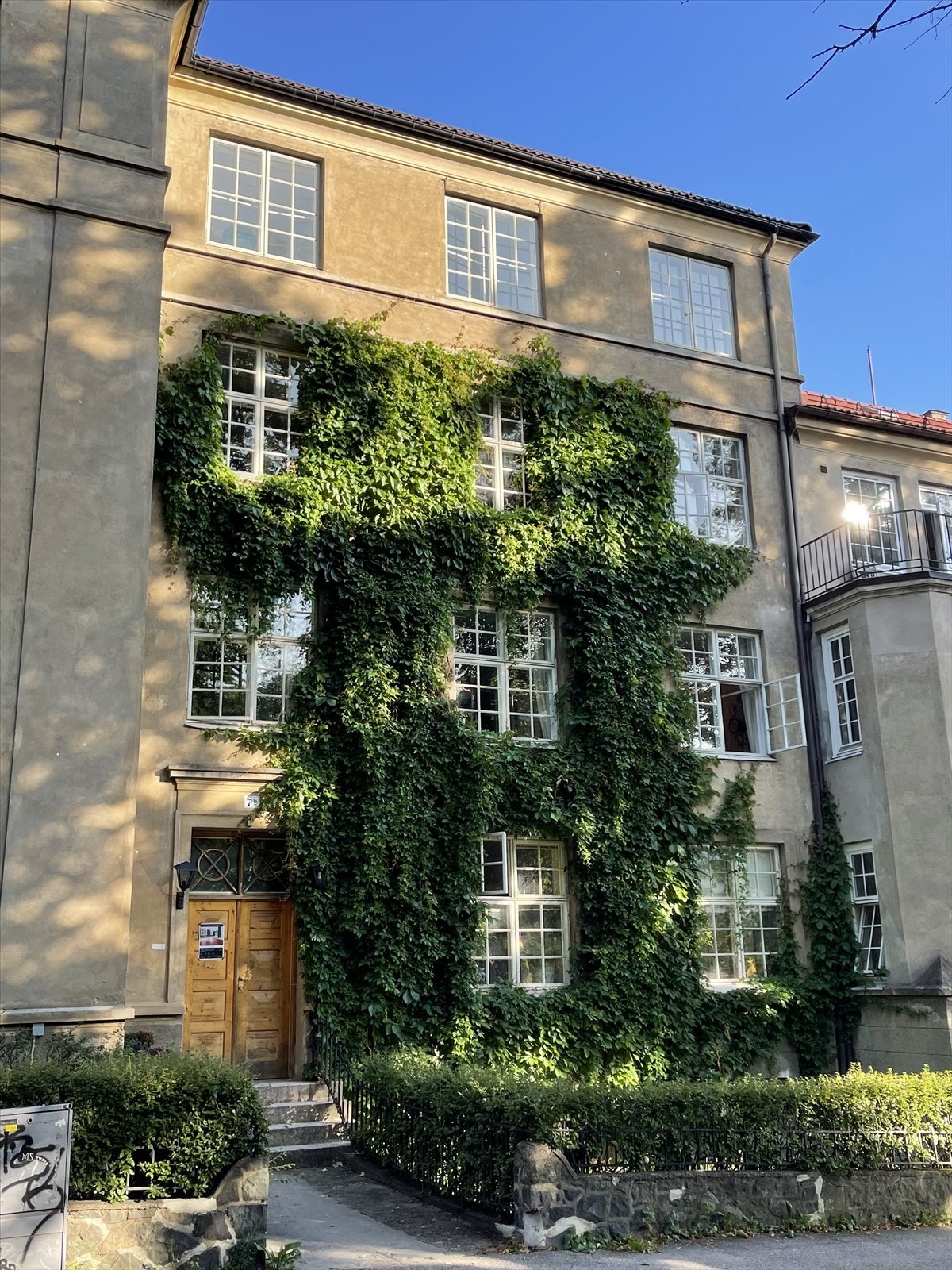 Fasade. Galleribilde