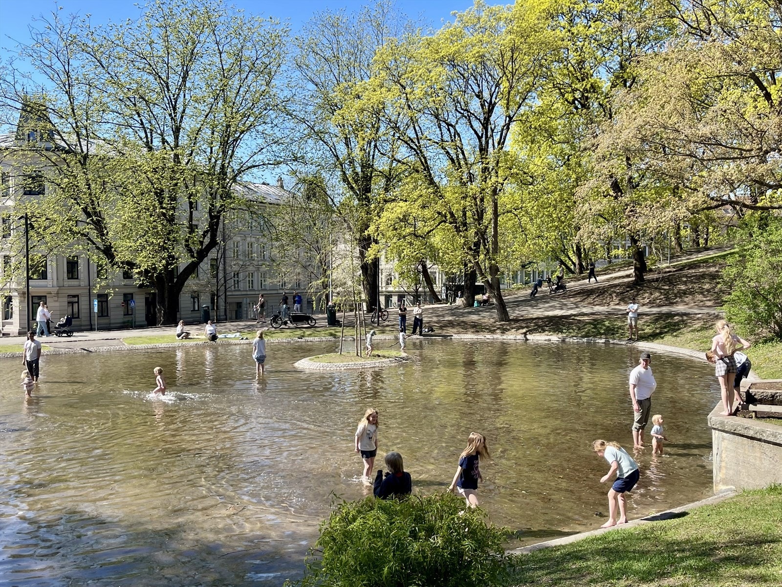 Områdebilde. Galleribilde