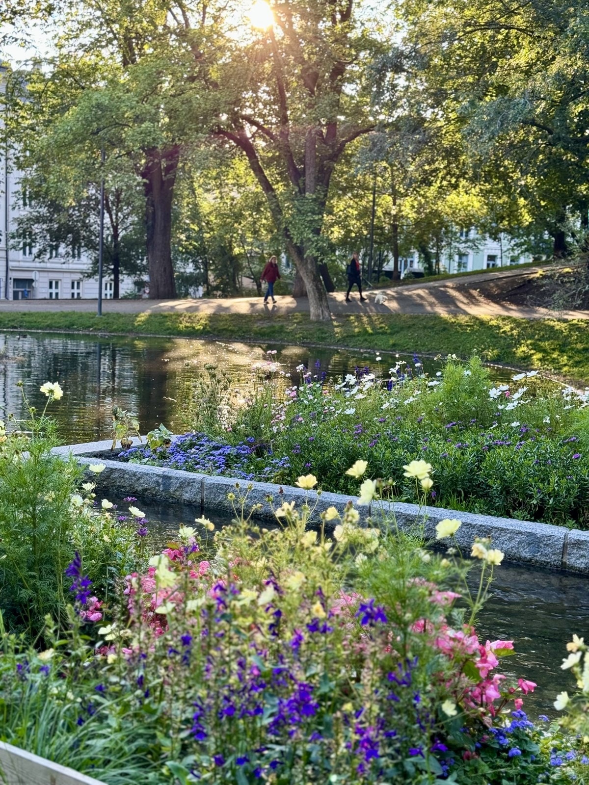 Områdebilde. Galleribilde