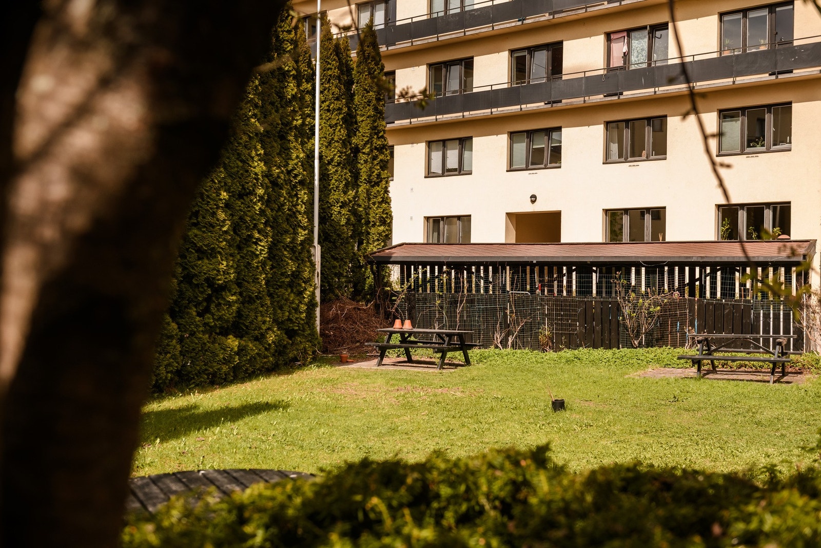 Sameiets fellesområder er pent opparbeidet med plen, beplantning og flere sittegrupper. Galleribilde