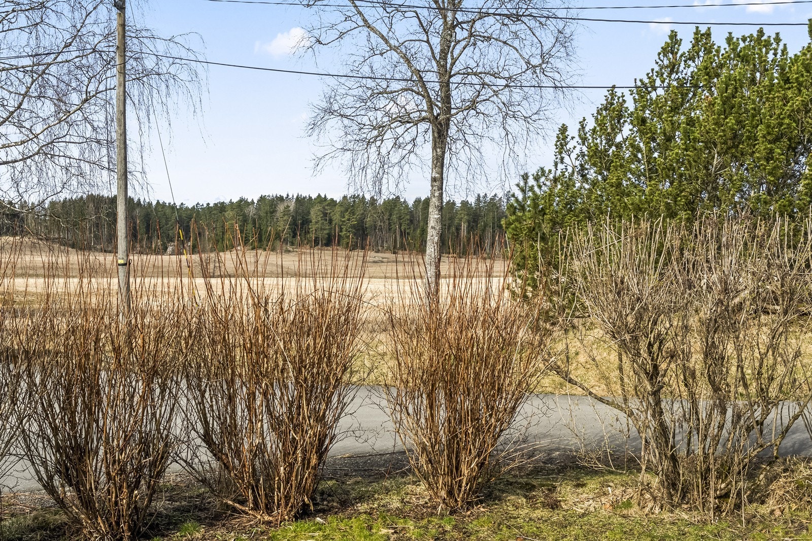 Beliggenheten i Svinndal gir nærhet til store friluftsområder og turmuligheter. Galleribilde