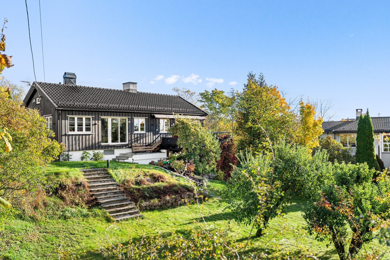 hovedbilde