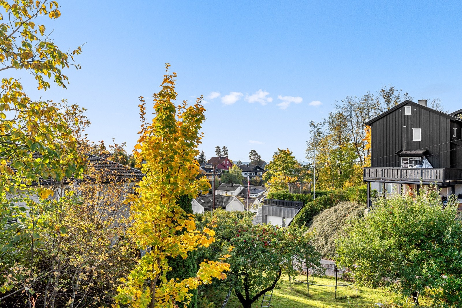 Utsyn over grønt og etablert boligområde med frodig vegetasjon. Galleribilde
