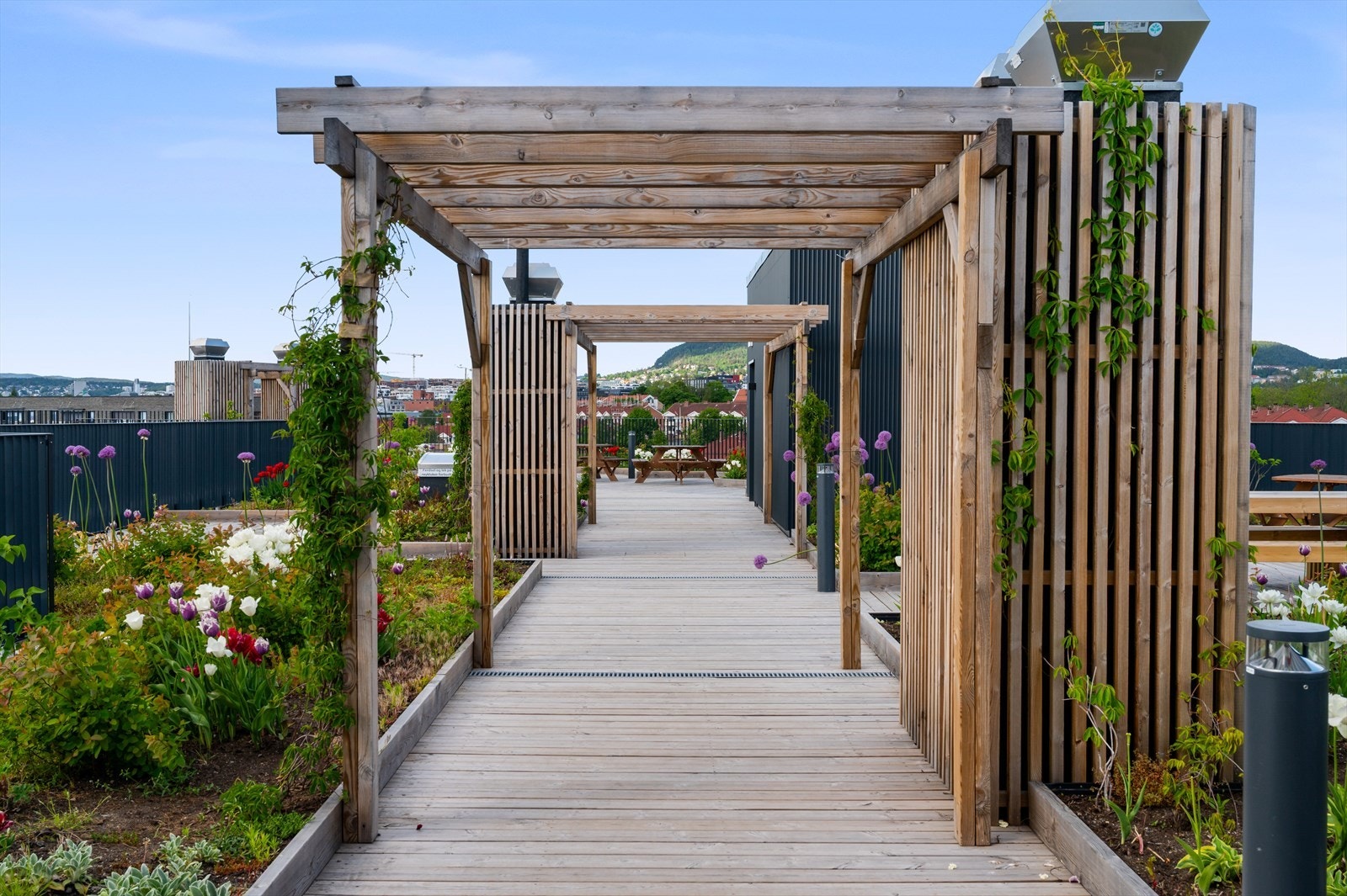 Sameiet har en svært solrik og hyggelig takterrasse med sittegrupper i ulike soner, solsenger og flott beplantning. Galleribilde