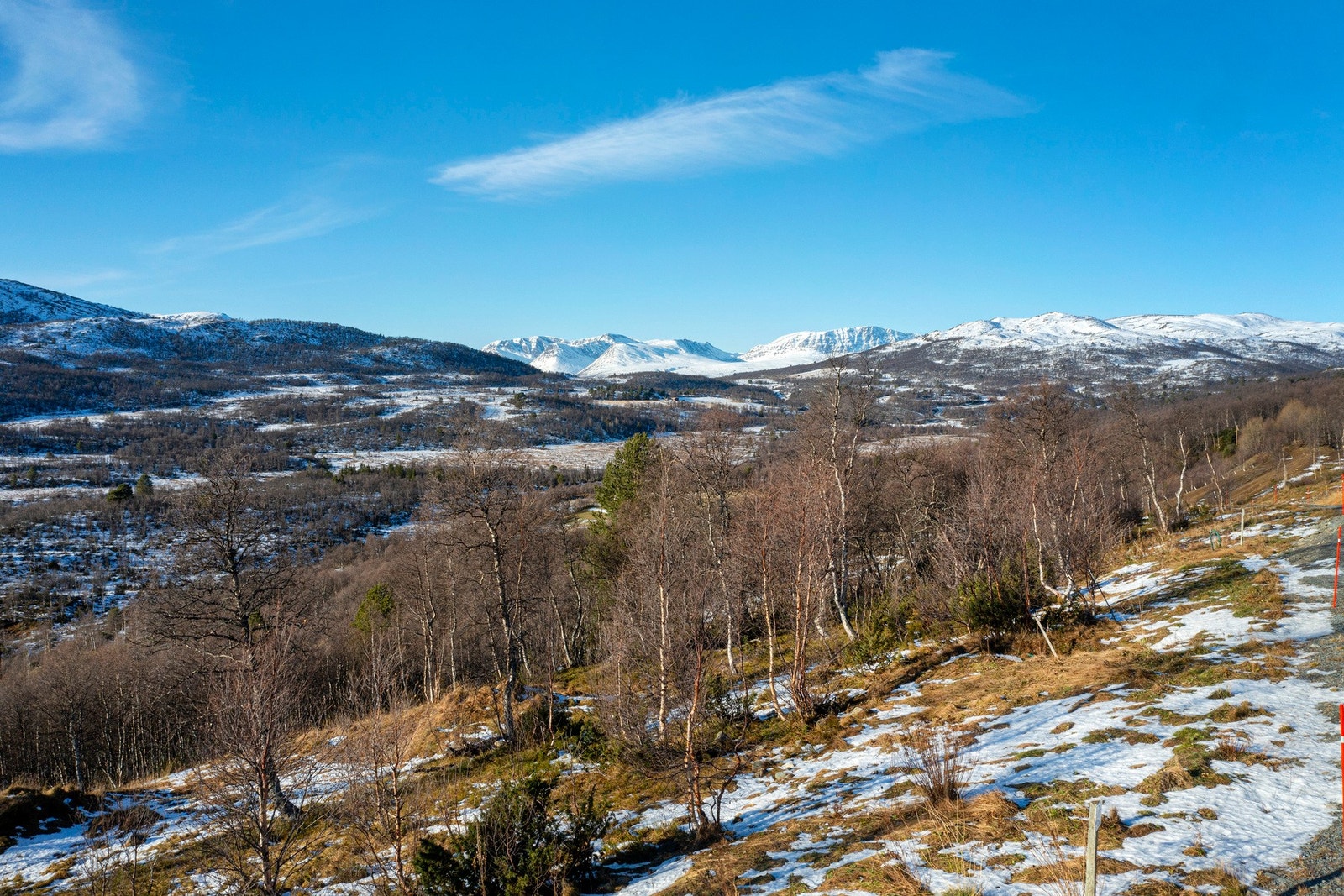 Eiendommen har svært gode solforhold og fin utsikt mot Trollheimen. Galleribilde