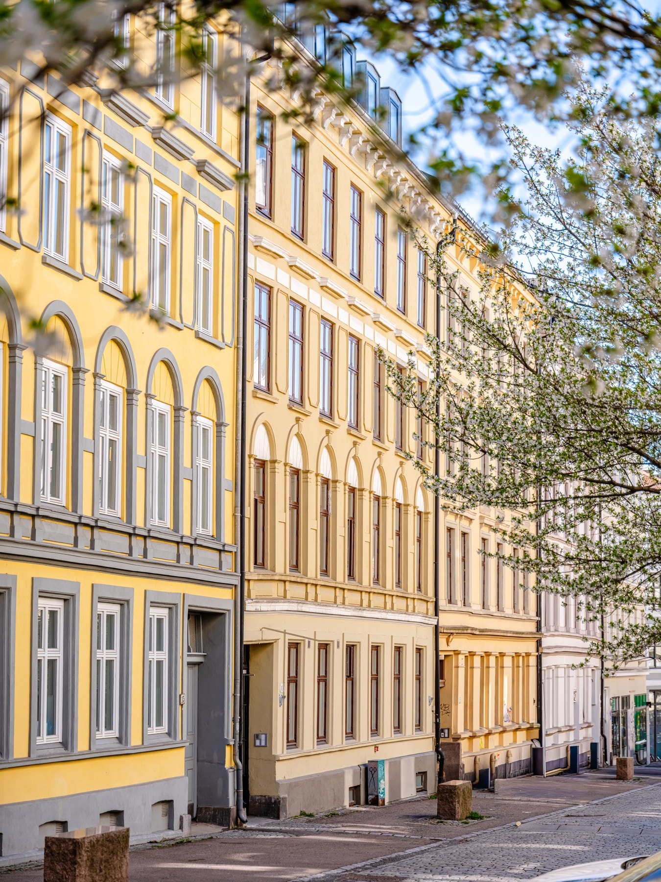 Fasade. Galleribilde