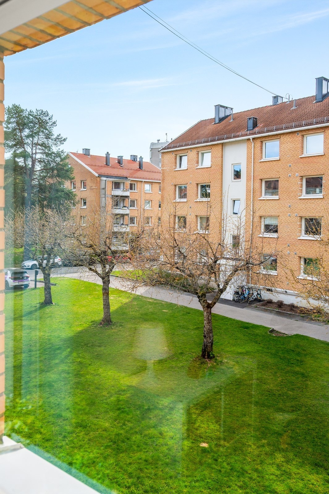 Utsyn mot grøntområdet med kirsebærtrær. Galleribilde