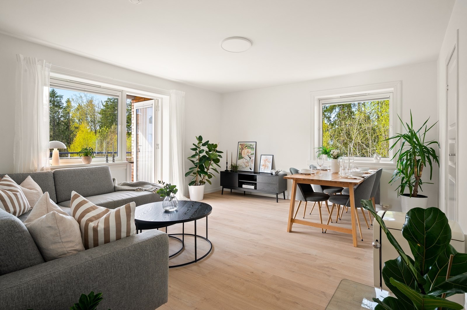 Velkommen til Mellombølgen 74! Galleribilde