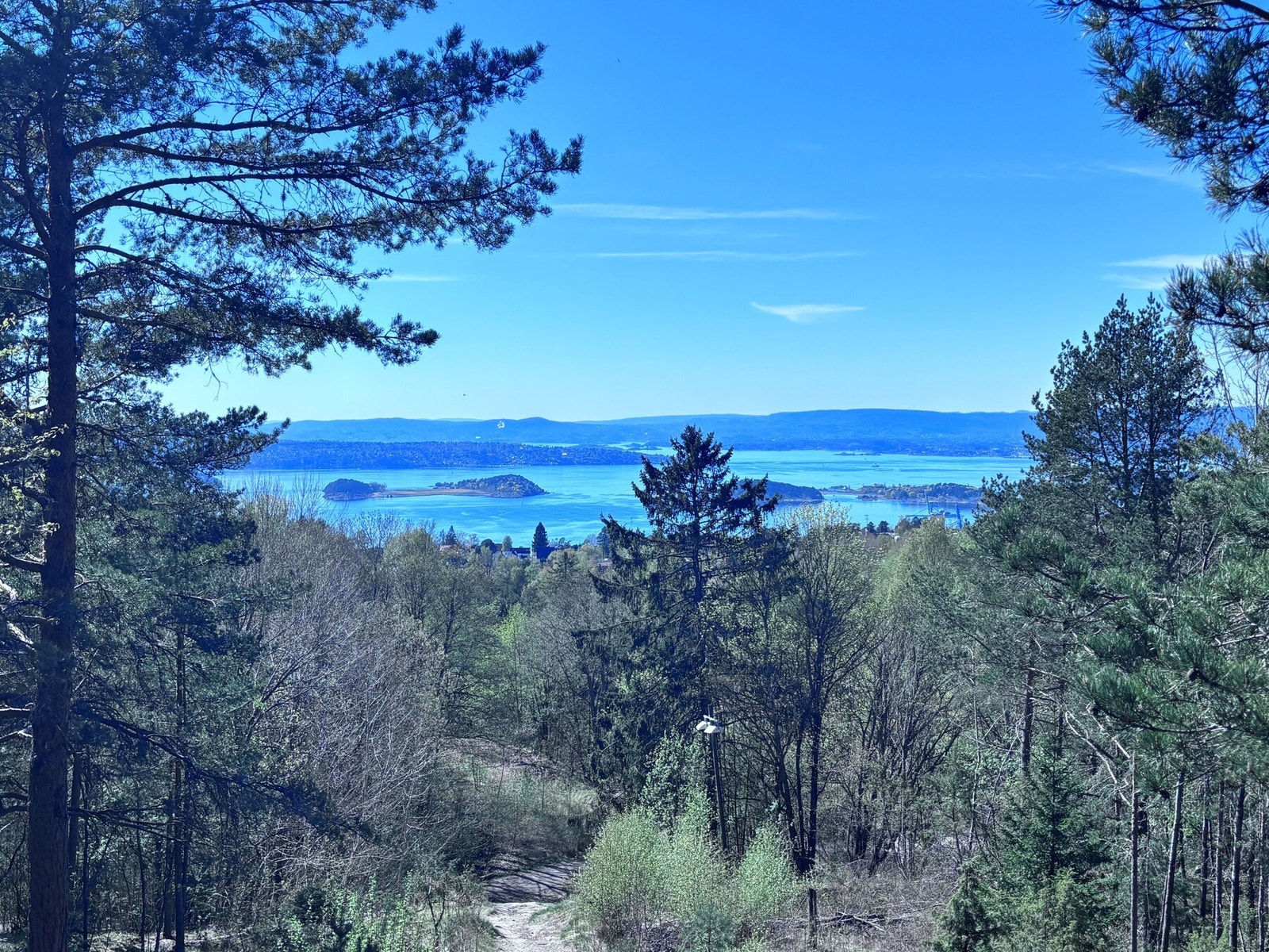 Umiddelbar nærhet til Brannfjellskogen (selgers private bilde). Galleribilde