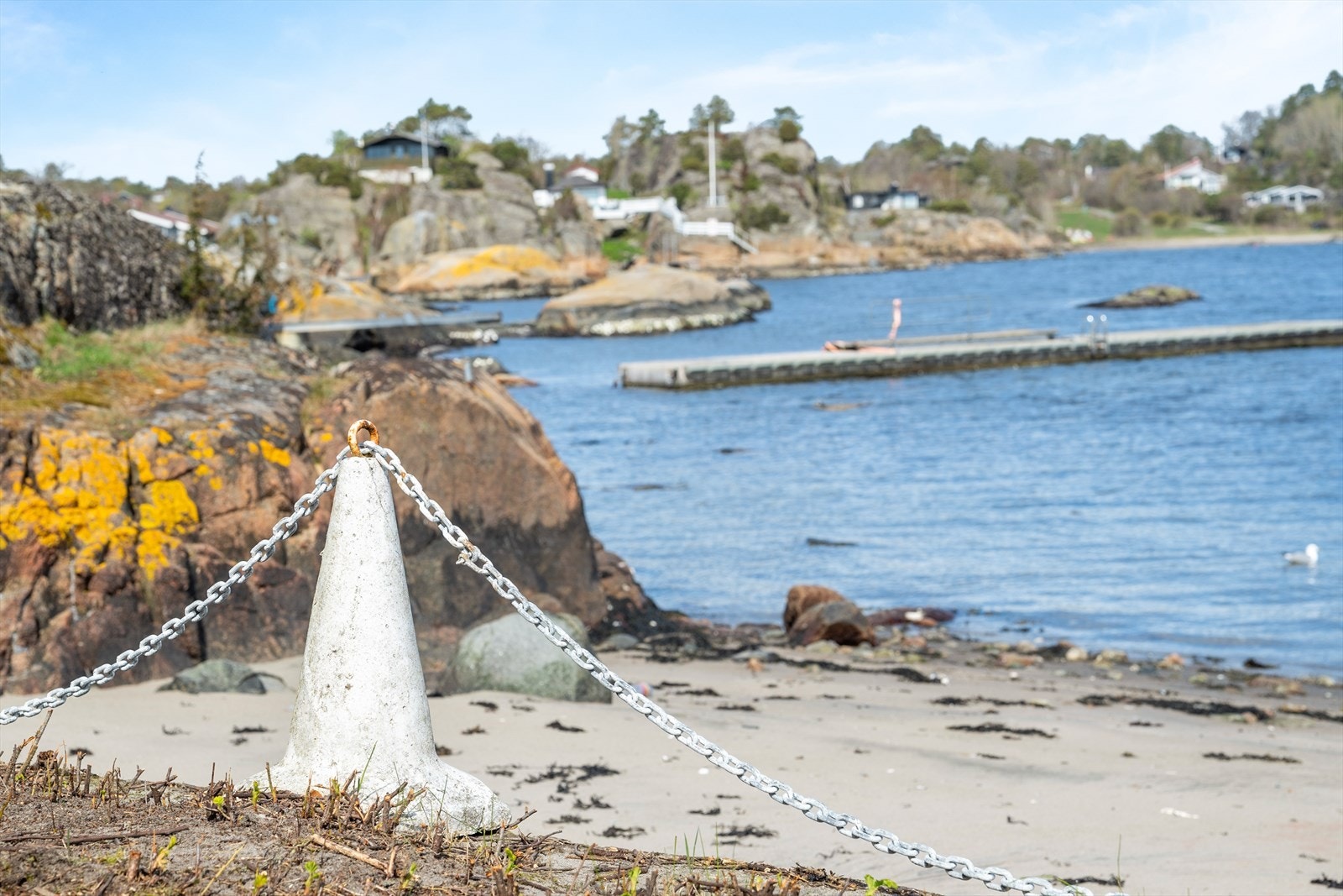 Detaljer fra strandlinjen som tilhører eiendommen. Galleribilde