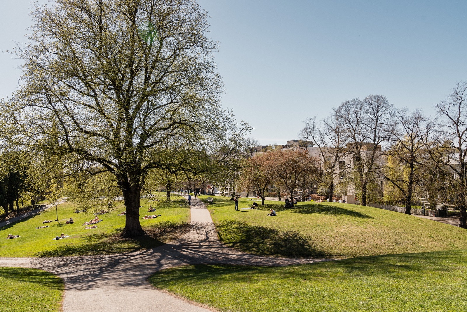 Stensparken, en av byens fineste parker, ligger kun et steinkast unna og er perfekt for rekreasjon. Galleribilde