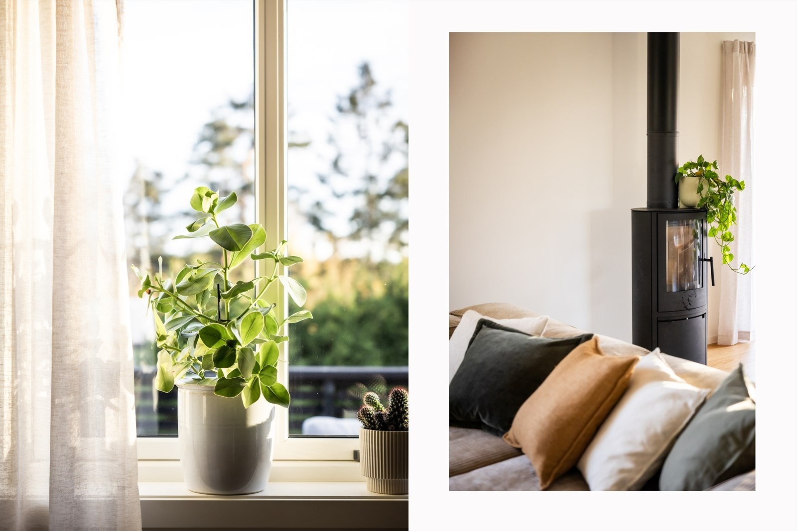 Store vinduer slipper inn rikelig med dagslys. Galleribilde